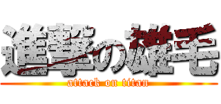 進撃の雄毛 (attack on titan)