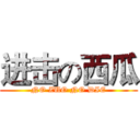 进击の西瓜 (NO ZUO NO DIE)