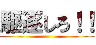 駆逐しろ！！ ()