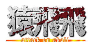 猿飛飛 (attack on akali)