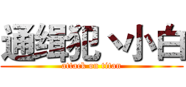 通缉犯丶小白 (attack on titan)
