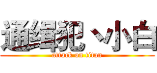 通缉犯丶小白 (attack on titan)