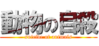 動物の自殺 (suicide of animals)
