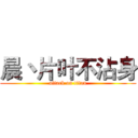 晨丶片叶不沾身 (attack on titan)