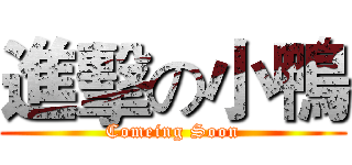 進擊の小鴨 (Comeing Soon)