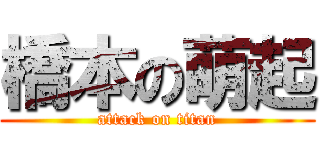 橋本の萌起 (attack on titan)
