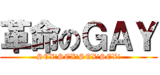 革命のＧＡＹ (SEX!SEX!SEX!SEX!)