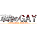 革命のＧＡＹ (SEX!SEX!SEX!SEX!)