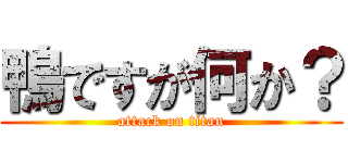 鴨ですが何か？ (attack on titan)