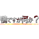 鴨ですが何か？ (attack on titan)