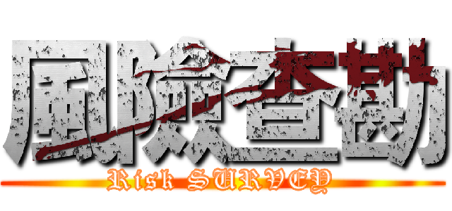 風險查勘 (Risk SURVEY)