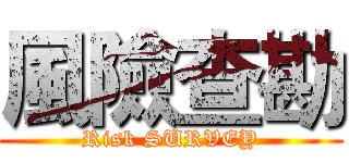 風險查勘 (Risk SURVEY)