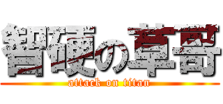 智硬の草哥 (attack on titan)