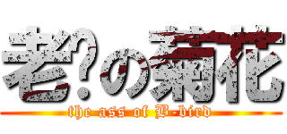 老鸨の菊花 (the ass of B-bird)