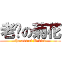 老鸨の菊花 (the ass of B-bird)