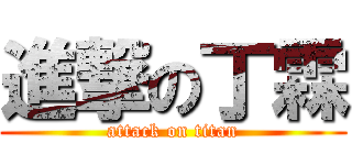 進撃の丁霖 (attack on titan)