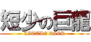 短少の巨龍 (LITTLE DICK)