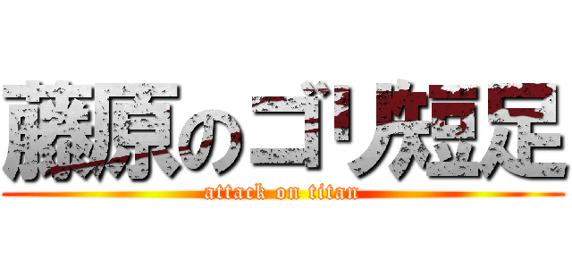 藤原のゴリ短足 (attack on titan)