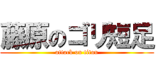 藤原のゴリ短足 (attack on titan)