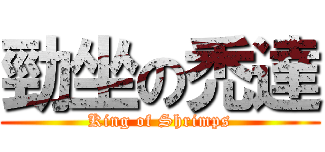 勁坐の禿達 (King of Shrimps)