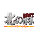 北の豚 (North's pig)