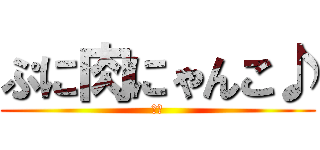 ぷに肉にゃんこ♪ (、、)