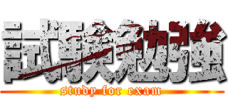 試験勉強 (study for exam)