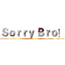 Ｓｏｒｒｙ Ｂｒｏ！ ()
