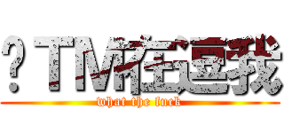 你ＴＭ在逗我 (what the fuck)