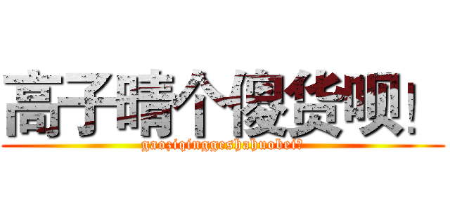 高子晴个傻货呗！ (gaoziqinggeshahuobei！)