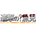 進撃の憨魚兒 (attack on titan)