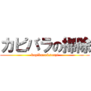 カピバラの掃除 (kapibara&souzi)