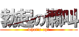 勃起の懶叫 (what\'s up?)