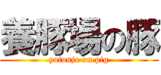 養豚場の豚 (yotonjo on pig)