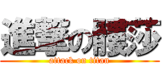 進撃の髏莎 (attack on titan)