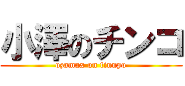 小澤のチンコ (ozamax on tinnpo)
