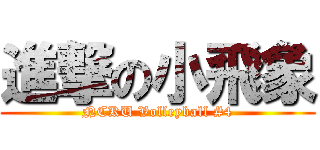 進撃の小飛象 (NCKU Volleyball #4)