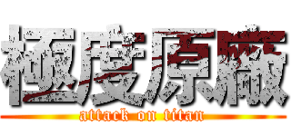 極度原廠 (attack on titan)