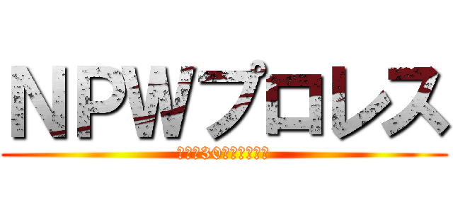 ＮＰＷプロレス (旗揚げ30周年記念大会)