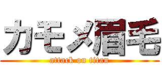 カモメ眉毛 (attack on titan)