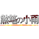 煞笔の小雨 (attack on titan)