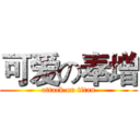 可爱の奉增 (attack on titan)