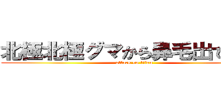 北極北極グマから鼻毛出てきそう (attack on titan)