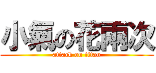 小氣の花兩次 (attack on titan)