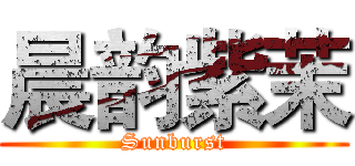 晨韵紫茉 (Sunburst)