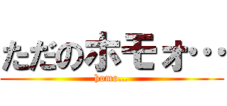 ただのホモォ… (homo…)