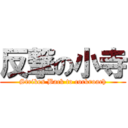 反撃の小寺 (Strikes Back to cockroach)