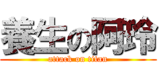 養生の阿玲 (attack on titan)