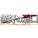 猫好の瀬口 (cat lover seguchi)