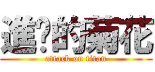 進擊的菊花 (attack on titan)